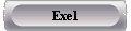  Exel 
